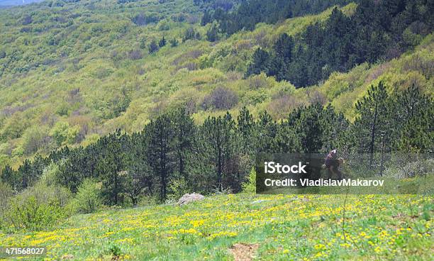 Steilen Klettertour Stockfoto und mehr Bilder von Abenteuer - Abenteuer, Aktiver Lebensstil, Aktivitäten und Sport