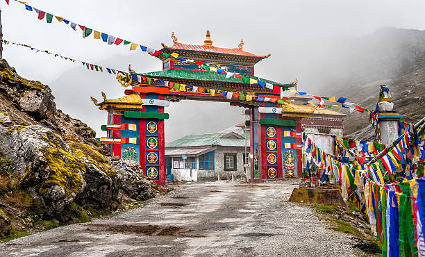 sela pass, distretto di tawang, arunachal pradesh, india - sella pass foto e immagini stock