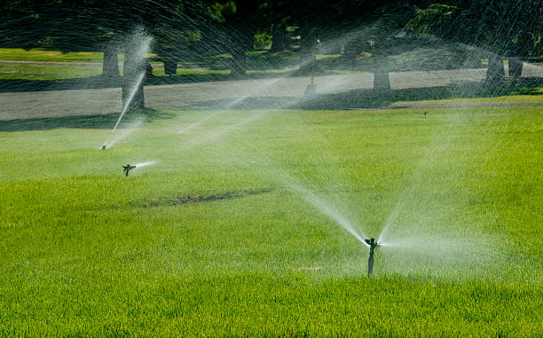 Enhance Your Lawn with Professional Sprinkler System Service in Maumee Enhance Your Lawn with Professional Sprinkler System Service in Maumee