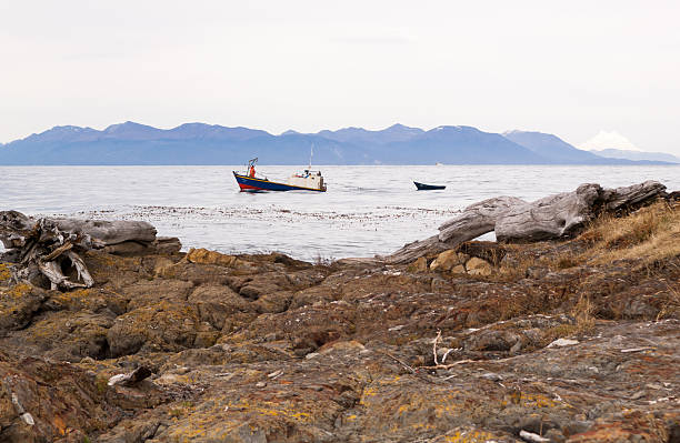 Fishing boat towing a skif in the straits of Magellan