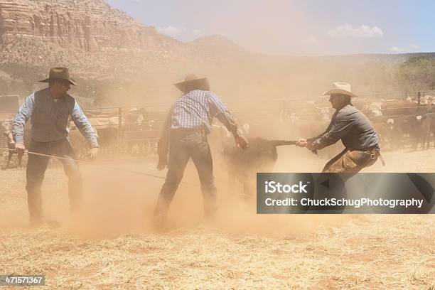 Cowboy Wranglers Confronto Bovino - Fotografie stock e altre immagini di Adulto - Adulto, Ambientazione esterna, Animale