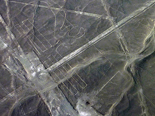 istock Parrot at the Nazca Lines 471572597