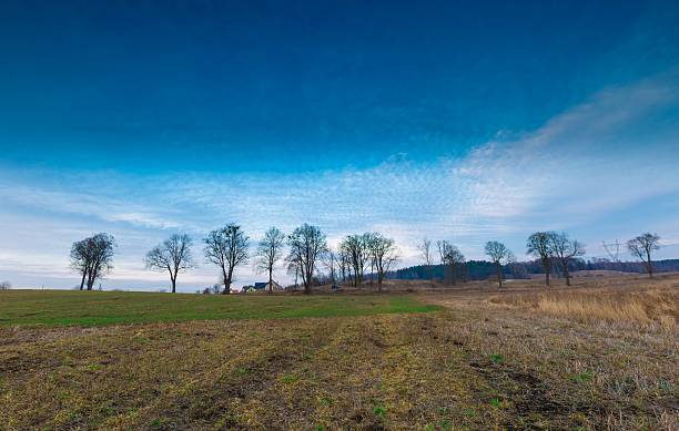 istock Early spring meadow with barbed wire fence at sunset 471572930