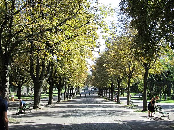 istock Geneva, Bastions park university in Switzerland 471573746