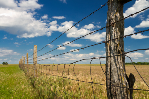 barbed wire fence in Kansas pasture, cumulus clouds in blue sky; perspective