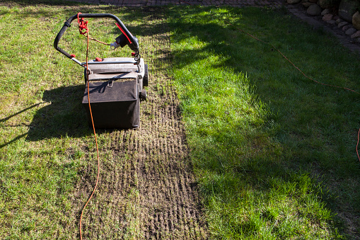 Verticutter cultivated lawn,