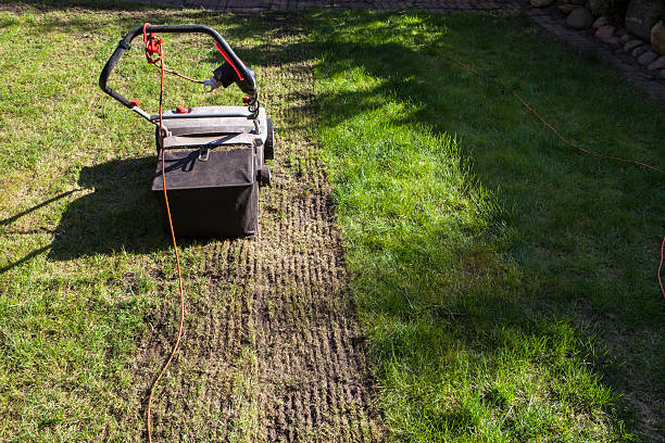 verticutter cultivado relvado, - aeration imagens e fotografias de stock