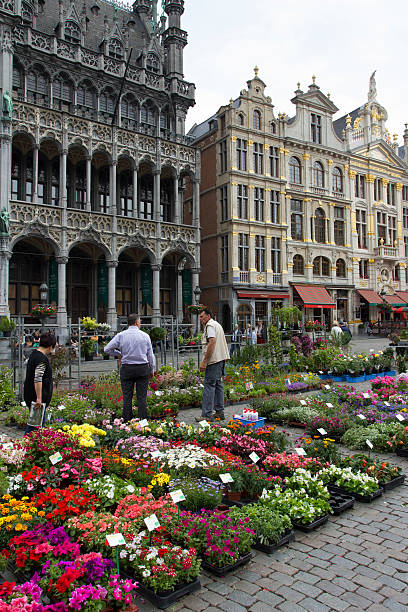 grand-place de bruxelles - brussels belgium market flower market photos et images de collection