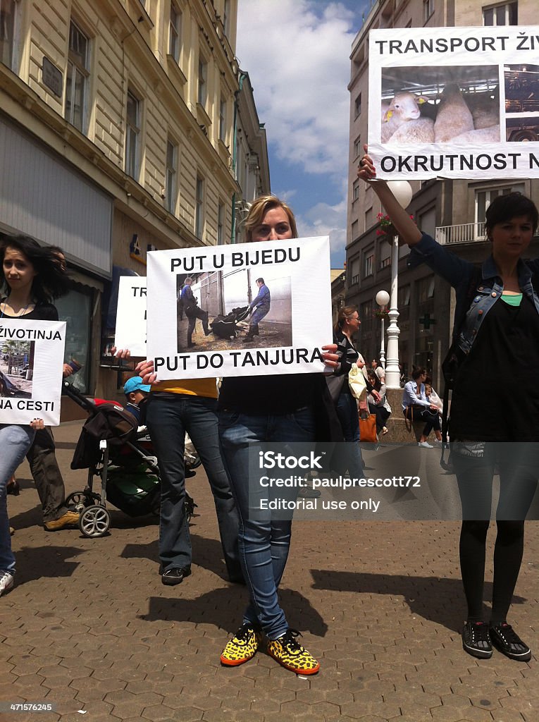 El bienestar de los animales Demostración - Foto de stock de Abuso libre de derechos