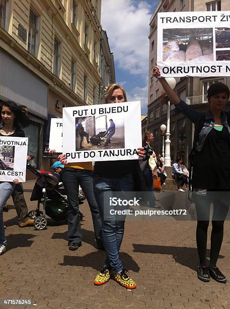 Dobrostan Zwierząt Demonstracja - zdjęcia stockowe i więcej obrazów Aktywista - Aktywista, Baner, Chorwacja