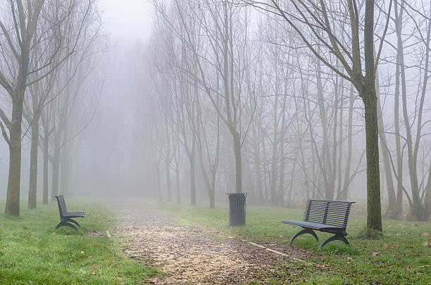 istock Park on a Foggy Winter Day 471576836