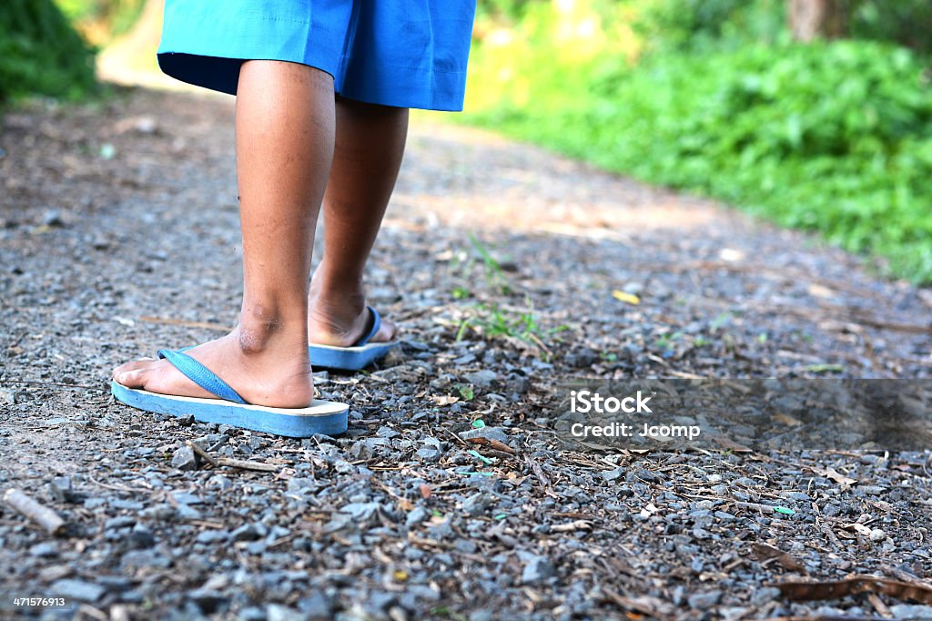 Walking in forest Active Seniors Stock Photo