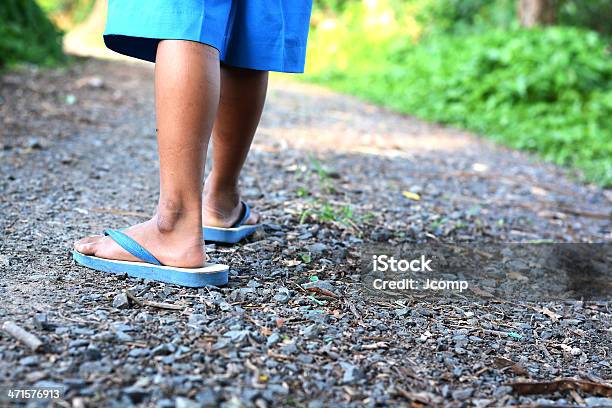 Walking In Forest Stock Photo - Download Image Now - Active Seniors, Adult, Alley
