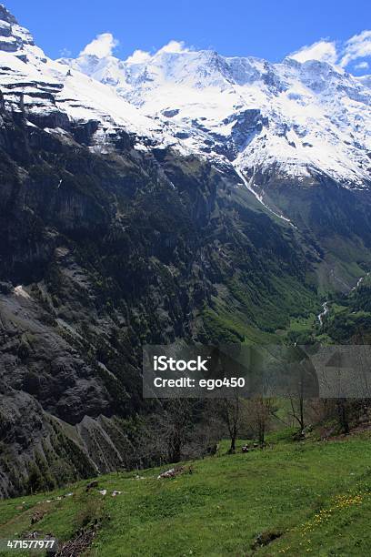 Alpes Suíços - Fotografias de stock e mais imagens de Alpes Europeus - Alpes Europeus, Ao Ar Livre, Cena Não Urbana