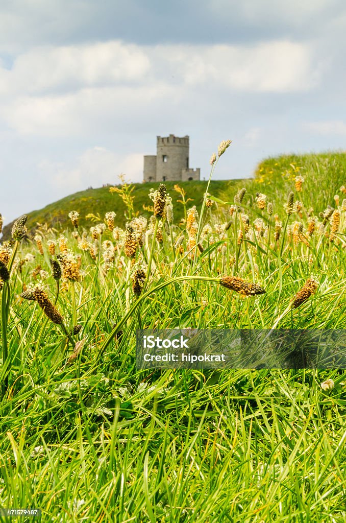 Falésias de Moher com O'Brien's Tower - Foto de stock de Beleza natural - Natureza royalty-free
