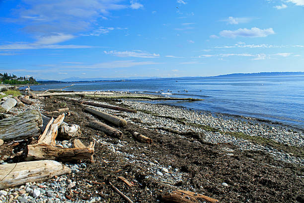 istock White Rock British Columbia Canada final light of day 471579913