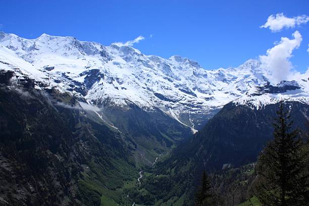 alpes suíços - schreckhorn - fotografias e filmes do acervo