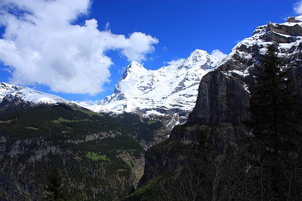 alpes suizos - switzerland interlaken schreckhorn mountain fotografías e imágenes de stock