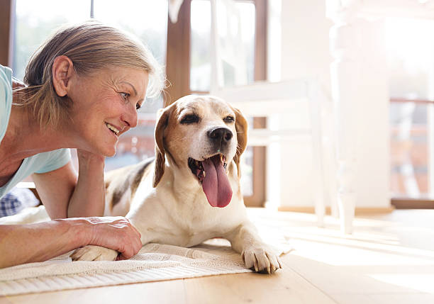 istock Senior woman and dog 471581926