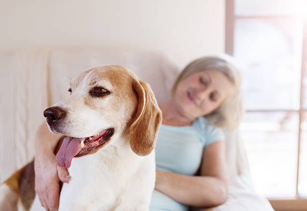 istock Senior woman and dog 471581934