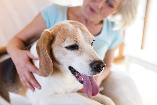 Senior woman with her dog inside of her house.