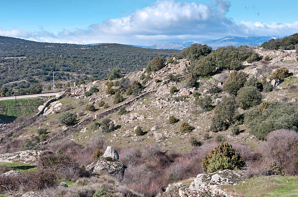 Guadarrama Mountains Mediterranean vegetation at Guadarrama Mountains, Madrid, Spain. It is a mountain range forming the main eastern section of the Sistema Central, the system of mountain ranges at the centre of the Iberian Peninsula juniperus oxycedrus stock pictures, royalty-free photos & images