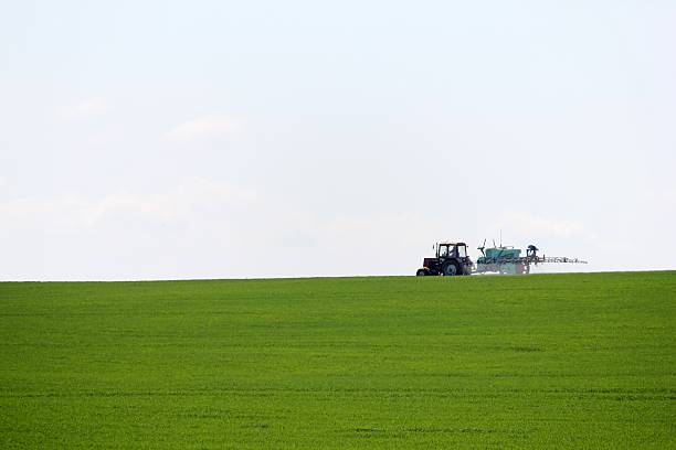 istock Tractor spraying wheat field with sprayer in springtime 471582828