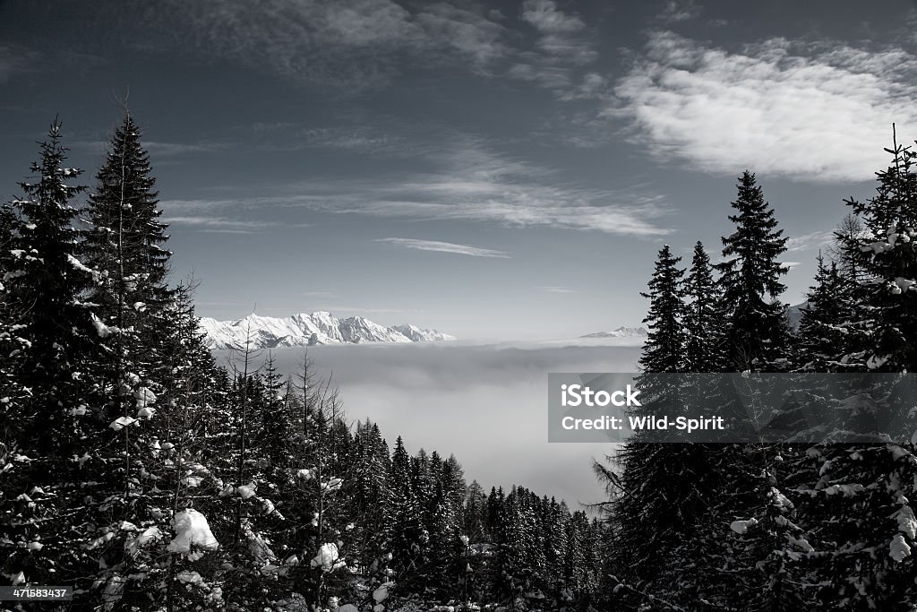 Mer de nuages dans la vallée en contrebas. - Photo de Alpes européennes libre de droits