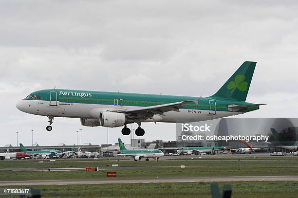 Aer Lingus エアバスエアバスダブリン空港に着陸する - 着陸するのストックフォトや画像を多数ご用意 - 着陸する, エアバスA320, エアリンガス航空