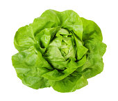 Butterhead lettuce - clipping path included