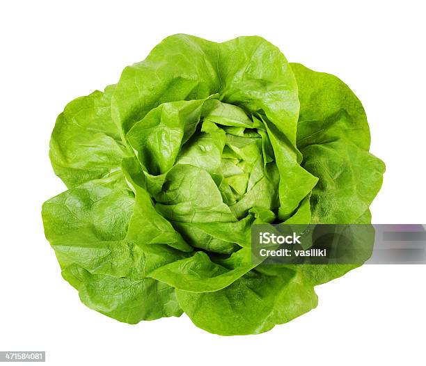 Butterhead Lettuce Clipping Path Included Stock Photo - Download Image Now - Lettuce, Salad, Butterhead Lettuce