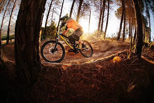 istock Mountain biker on a dirt path in a wilderness forest 471587400