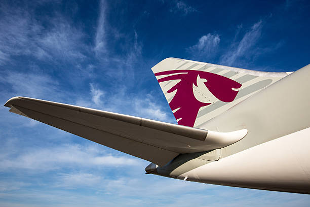 qatar airways боинг 787-8 dreamliner - boeing 787 air vehicle airplane стоковые фото и изображения