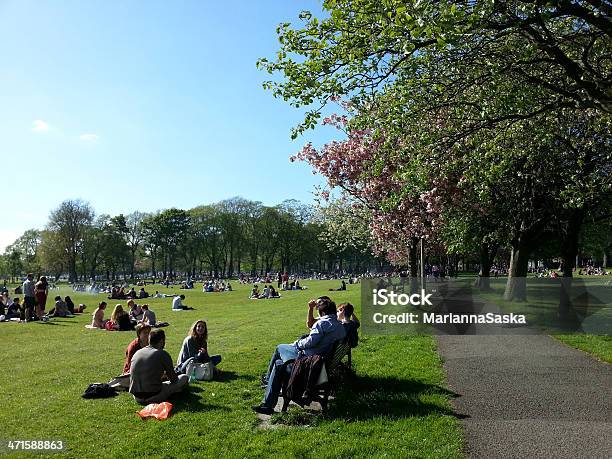 Edimburgo Meadows Foto de stock y más banco de imágenes de Acostado - Acostado, Actividades recreativas, Adulto joven