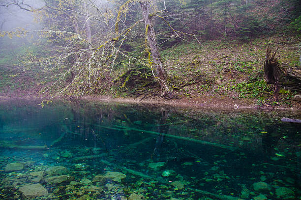 pequeño bosque lago - leech lake lake morning fog fotografías e imágenes de stock