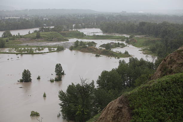 река боу наружный - flood bridge calgary alberta стоковые фото и изображения