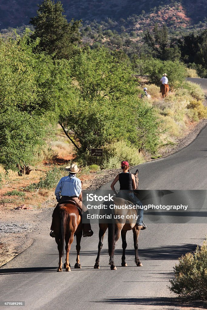 Cavallo escursione a persone - Foto stock royalty-free di Addestratore di animali
