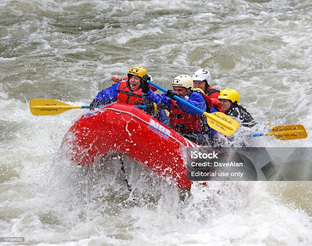 Rafting" en aguas rápidas Montana." - Foto de stock de Montana libre de derechos