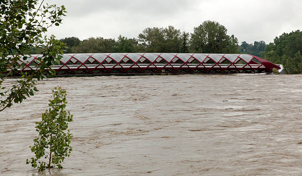 puente peace río bow difusión - calgary bridge flood alberta fotografías e imágenes de stock