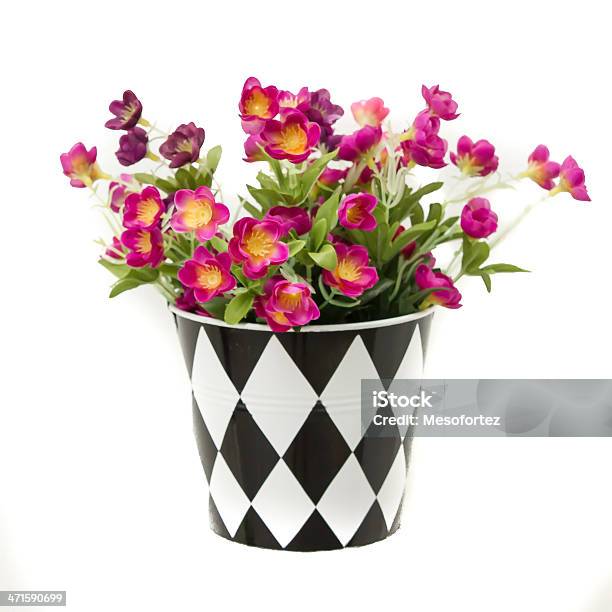 Photo libre de droit de Fleur Sur Flowerpot banque d'images et plus d'images libres de droit de Adulte - Adulte, Bonheur, Cache-pot