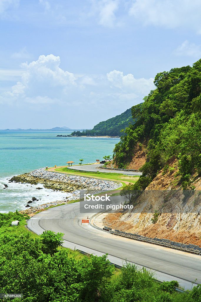 Route le long du littoral - Photo de Arbre libre de droits