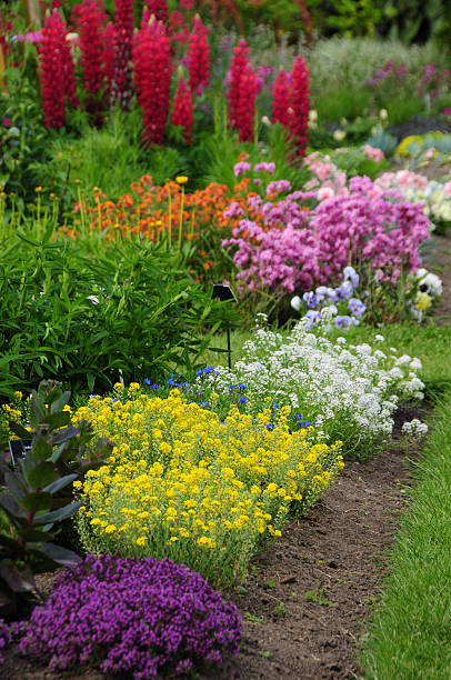 istock Insect garden, U.K. 471591363