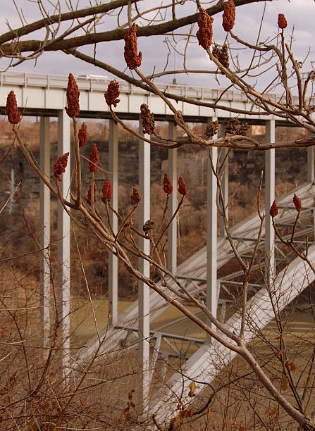 White Bridge Structure stock photo