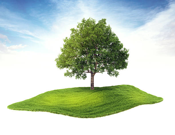 istock island with tree floating in the air 471591828