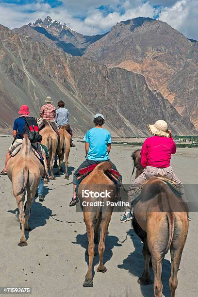 Valle Di Nubra Equitazione Cammello Nel Deserto Dellindia - Fotografie stock e altre immagini di Adulto