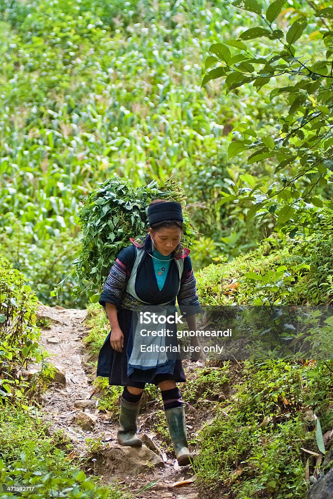 Hmong personas en Vietnam - Foto de stock de Actividad móvil general libre de derechos