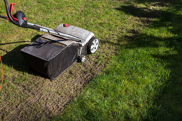 verticutter cultivado relvado, - aeration imagens e fotografias de stock