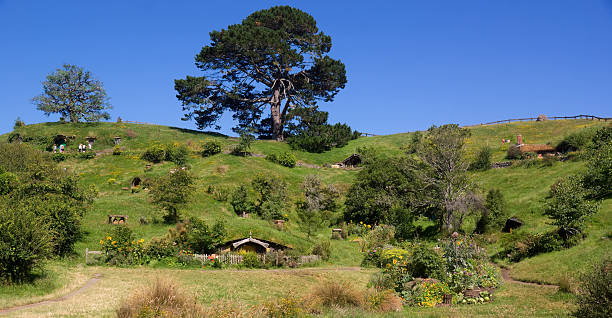 Hobbiton - The Shire Matamata, New Zealand - 7 January 2013: Visitors tour an actual movie set of The Shire at Hobbiton. The hobbit holes in this movie set were used in the filming of the Lord of the Rings and The Hobbit series of movies, and have been retained for guided tours. matamata new zealand stock pictures, royalty-free photos & images