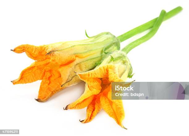 Photo libre de droit de Citrouille Fleur Comestible banque d'images et plus d'images libres de droit de Citrouille - Citrouille, Fleur - Flore, Fond blanc