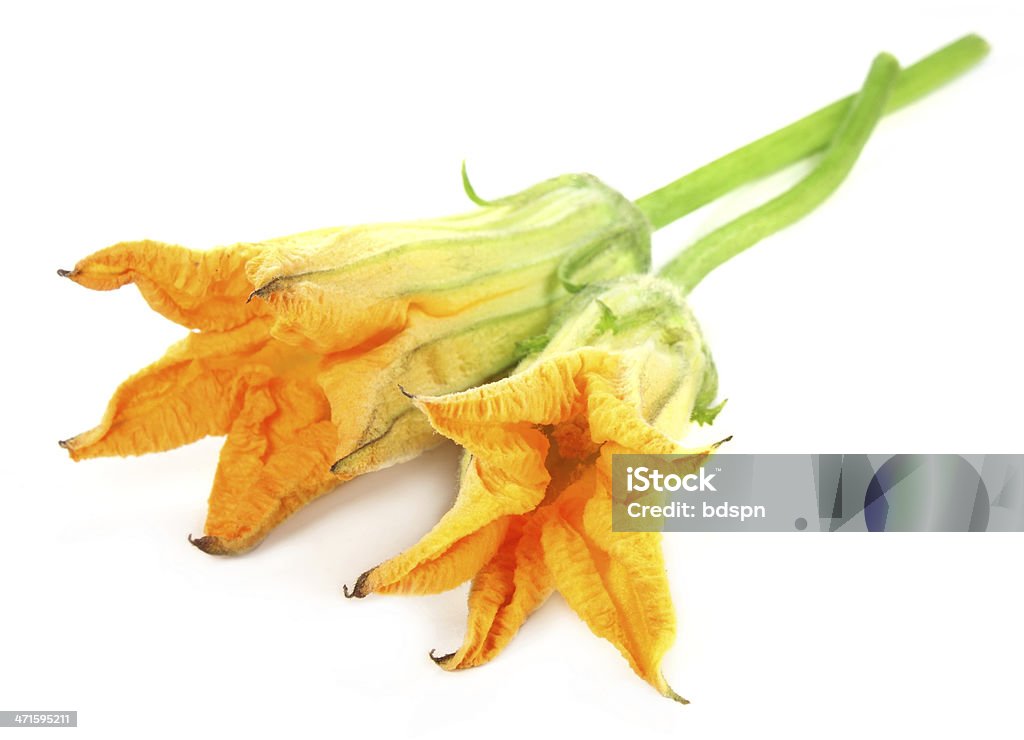 식용 펌프킨 아이리스입니다 - 로열티 프리 꽃-식물 스톡 사진